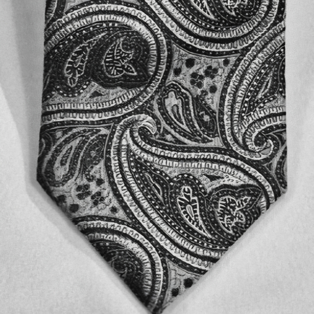 Bergamo New York Mems Sophisticated Paisley Tie - Black and Gray